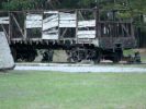 IMG_7642.jpg