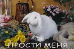 Файл: agro3bycxc.jpg
Объем: 21КБ
Размеры: 500x333
Дата: Март 21, 2006 agro3bycxc.jpg