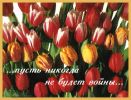 postcard_014.jpg