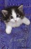 postcard_0470032F.jpg