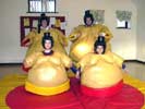 sumo2