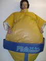 sumo3