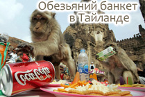 Обезьяний банкет в Таиланде Обезьяний банкет в Таиланде